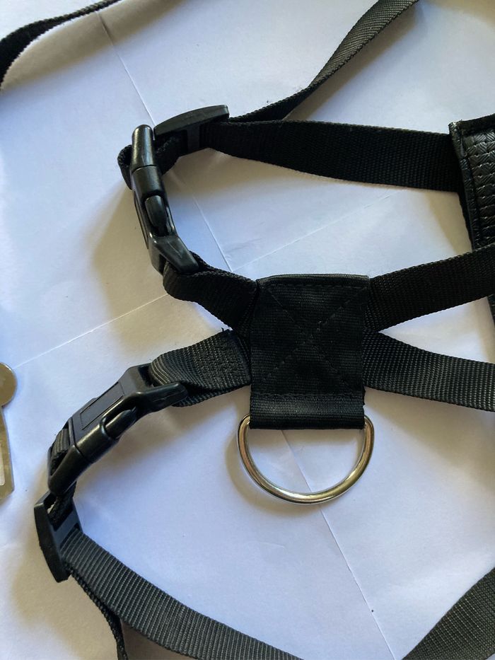 Harnais pour ceinture de sécurité - photo numéro 2