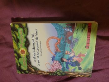 Livre cabane magique 2 histoires