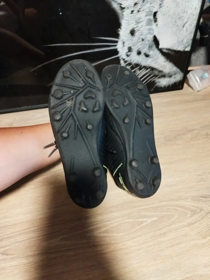Crampons - photo numéro 3
