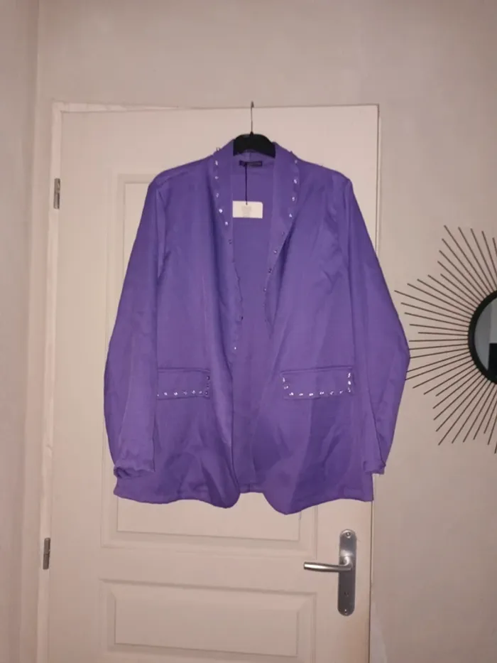 Veste violette légère