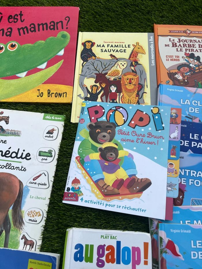 Gros lot de livres divers ( pas de vinted go ) - photo numéro 8