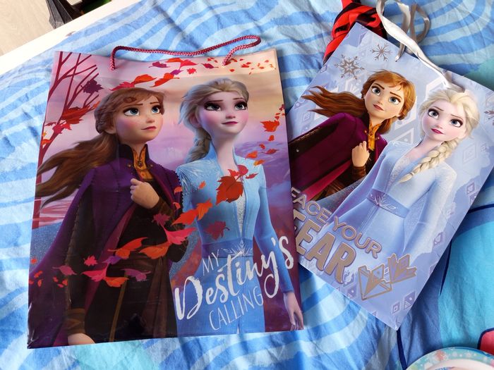 Reine des neiges - photo numéro 7