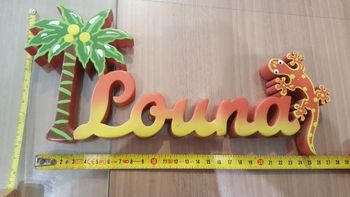 cadre Louna (palmier et margouillat)
