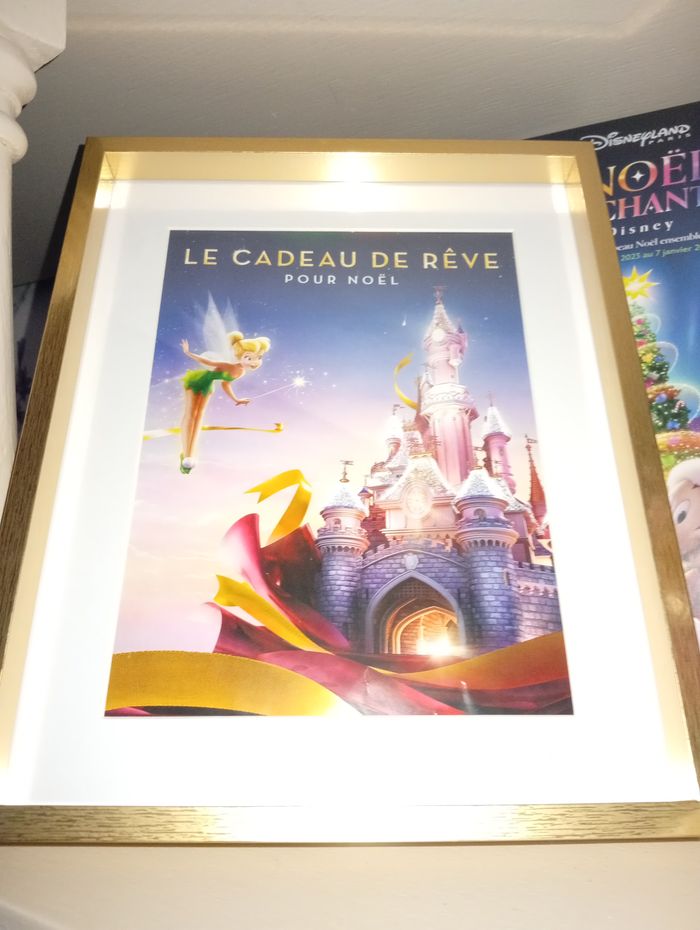 Cadre Le Cadeau de rêve Disneyland Paris