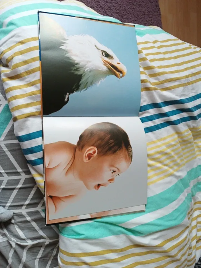 Mon petit d'homme - photo numéro 2