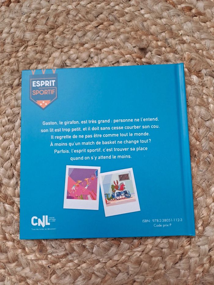 Livre enfant Le match de basket de Virginie Grimaldi - photo numéro 2