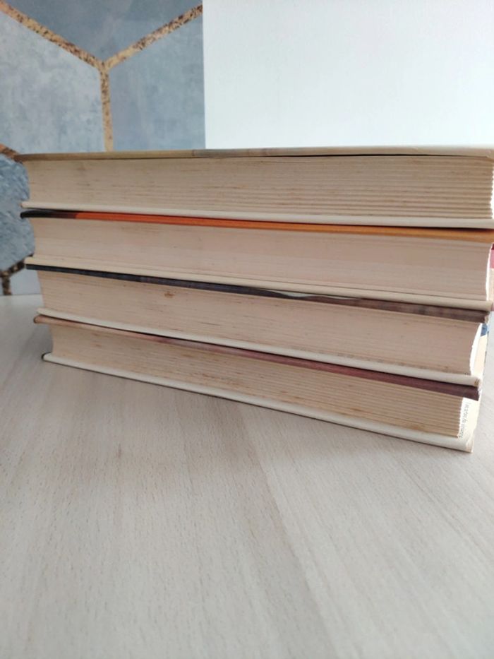 Tétralogie Robert Gaillard érotique historique chair cendre luxure volupté désir haine - photo numéro 5