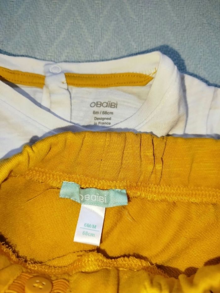 Ensemble singe - photo numéro 2