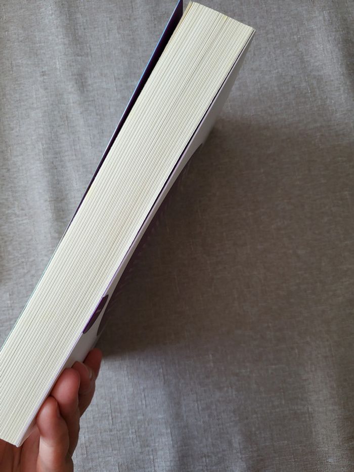 Les beaux lendemains de Saint-Chanas de Véronique Lesimple - photo numéro 4