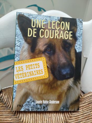 Une Leçon de courage Les Petits Vétérinaires