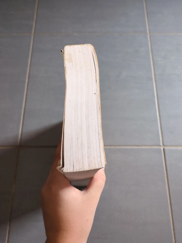 Livre orcs - photo numéro 4