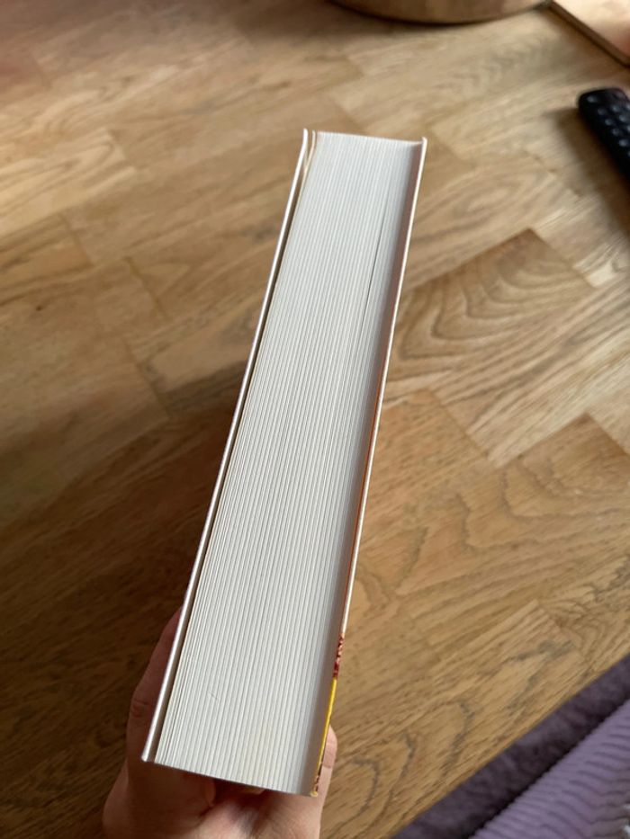 Livre MUSSO , Un appartement à Paris - photo numéro 3