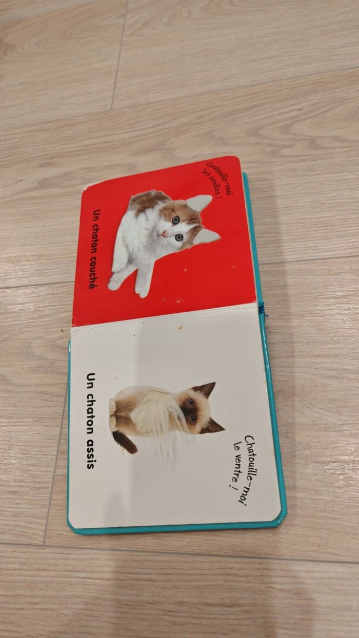 Livre Les chatons à toucher - photo numéro 7