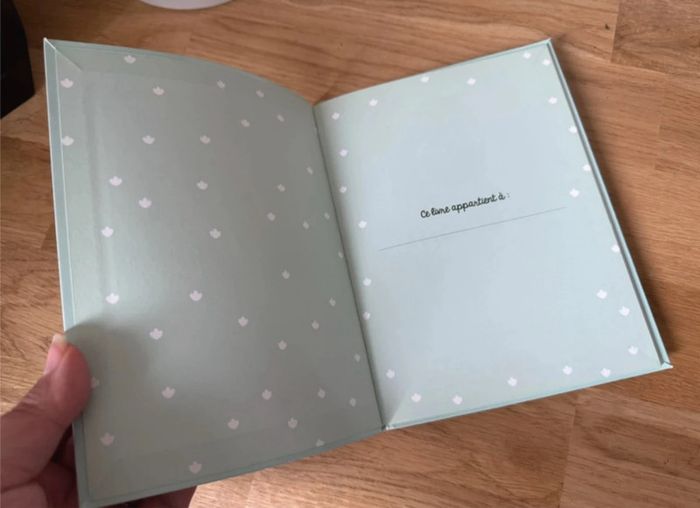 Livre Je commence à lire Martine fait du camping - photo numéro 4