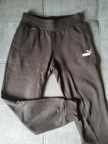 Jogging puma