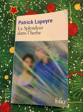 La splendeur dans l herbe