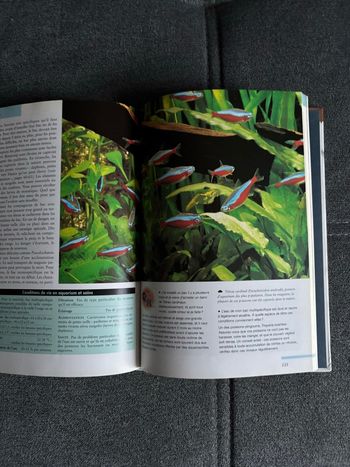 Le guide de l’aquarium 