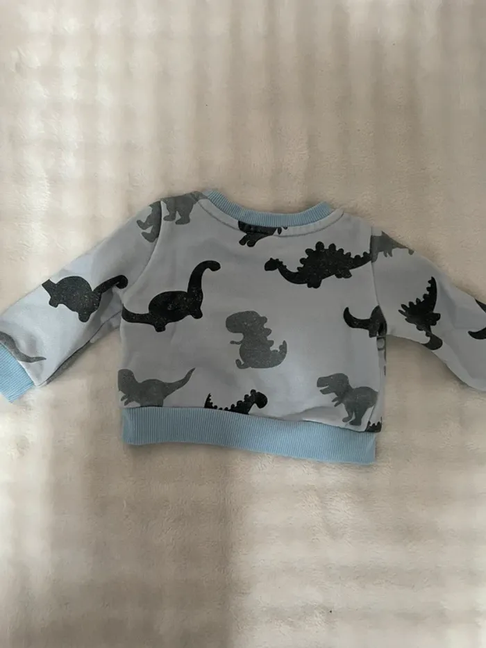 Pull dinosaure - photo numéro 3
