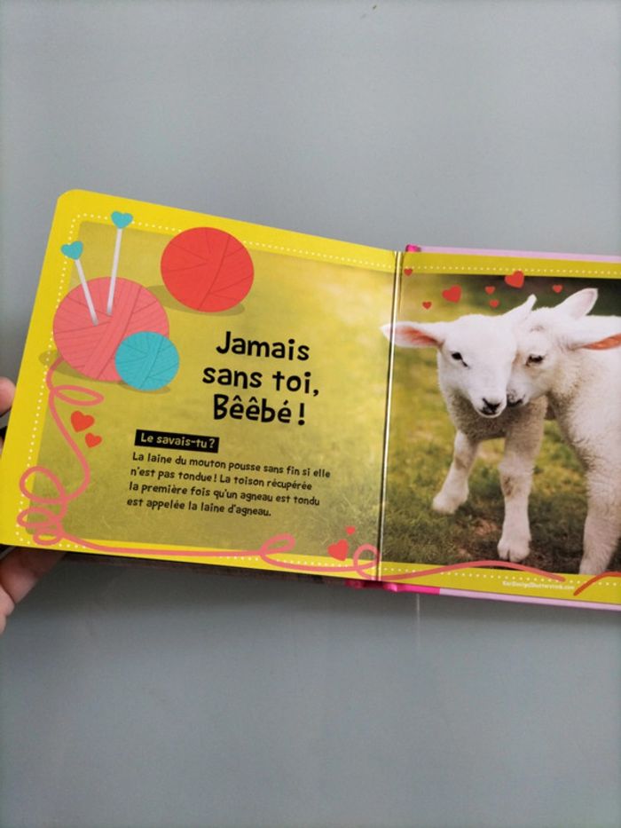 Bébés animaux de la ferme - photo numéro 4