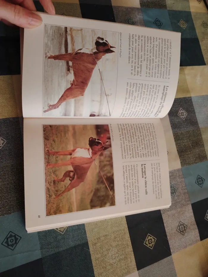 Livre sur le boxer - photo numéro 7