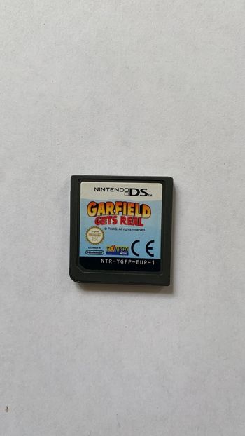 Garfield ds