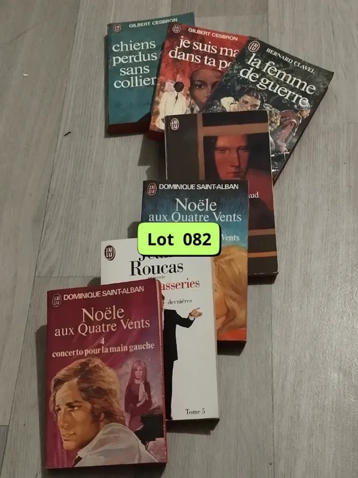 Lot de 7 romans en très bons états L082