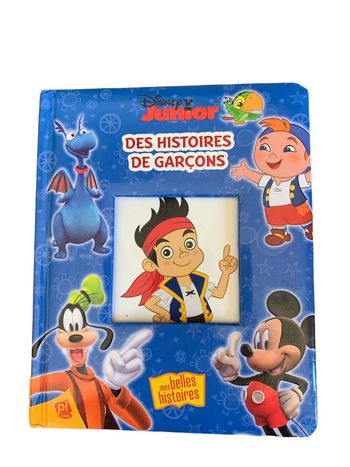 Livre des histoires de garçon Disney Junior