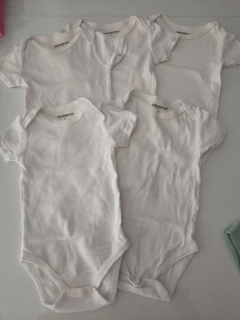 Lot de 5 bodies