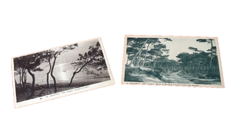 2 Cartes postales anciennes Arcachon (Gironde) Côte d' Argent