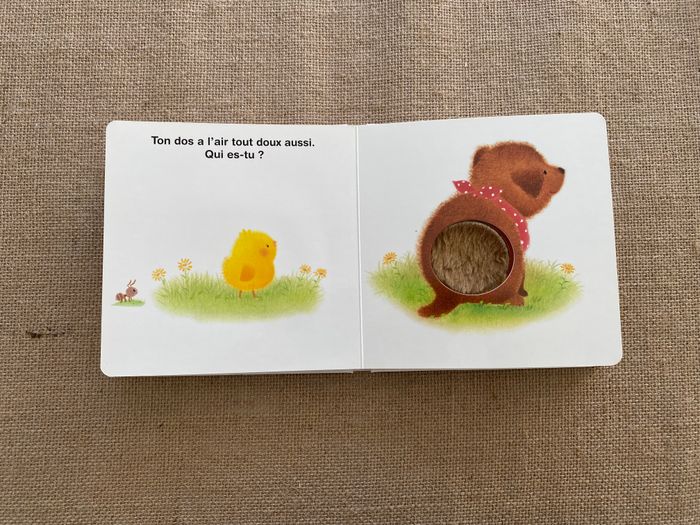 Livre Piou Piou Qui es-tu ? Bayard Jeunesse - photo numéro 5