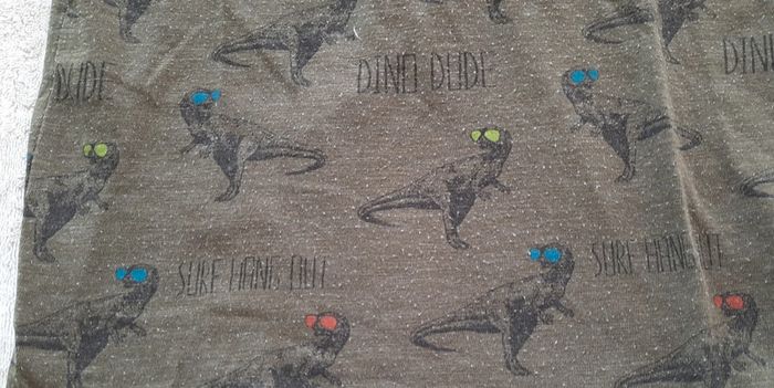 T-shirt Dinosaure - photo numéro 3