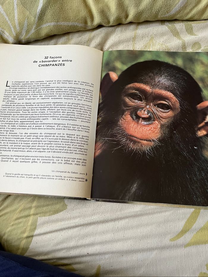 Livre. Les grandes énigmes de la vie des animaux - photo numéro 4