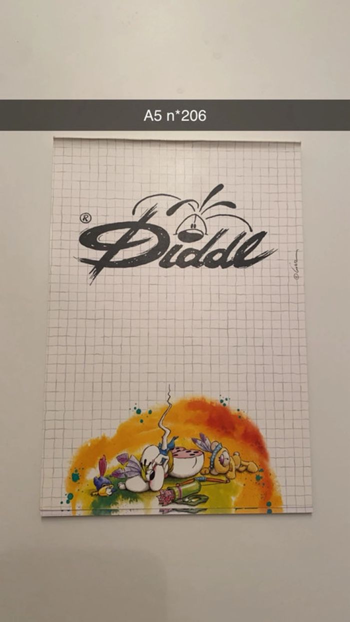 Feuille diddl A5 - photo numéro 4