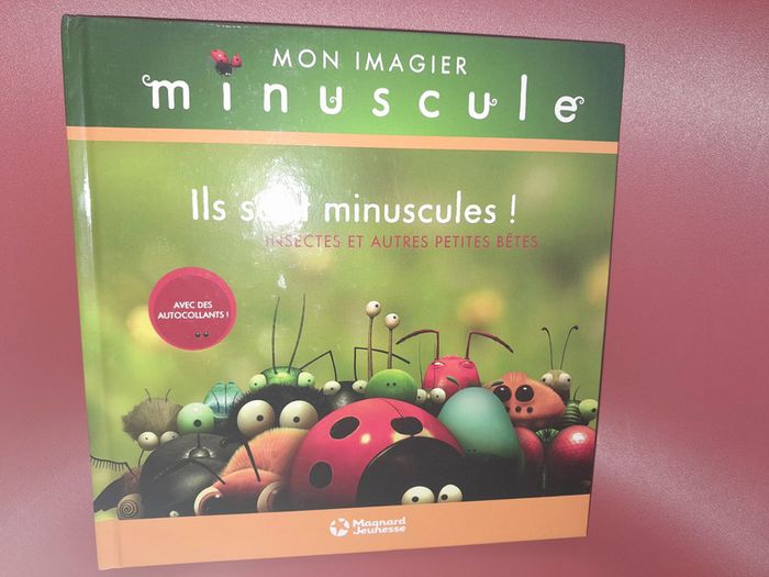 lot série Minuscule DVD + 2 livres + le jeu - photo numéro 11