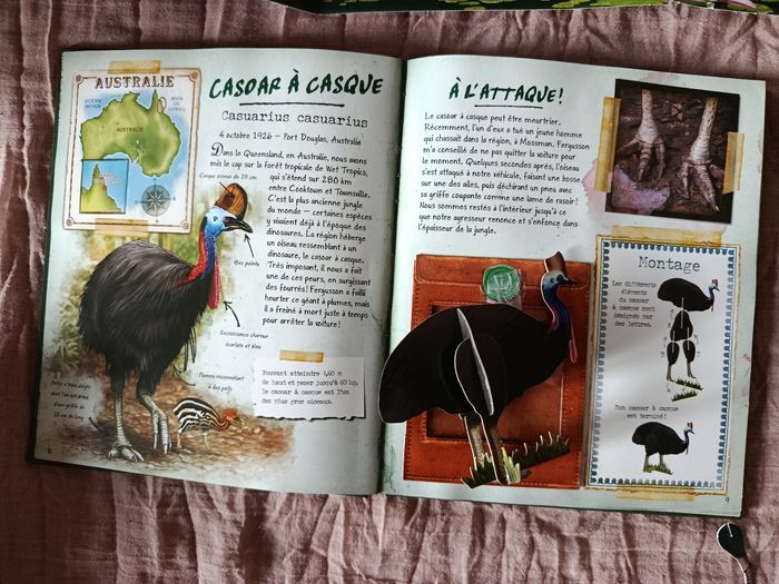 Livre sur les oiseaux exotiques - photo numéro 10