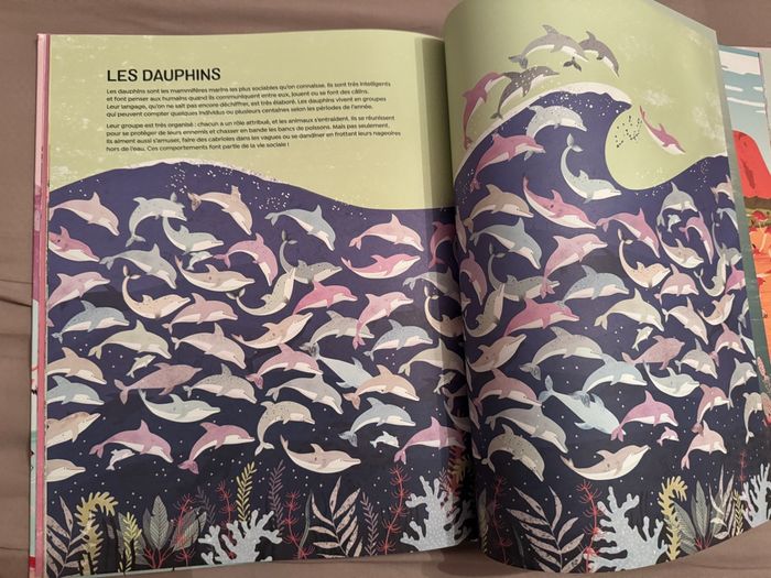 Livre animaux - photo numéro 6