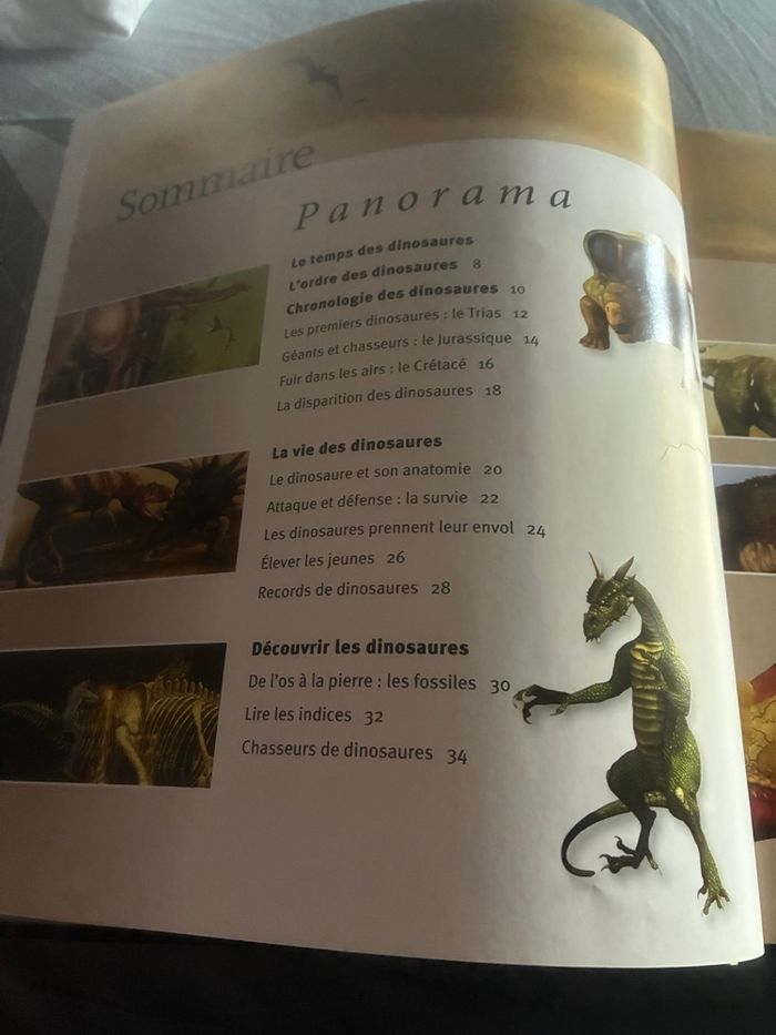 Livre Les dinosaures 🦖 a la loupe - photo numéro 3