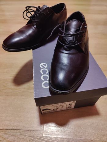 Ecco 41