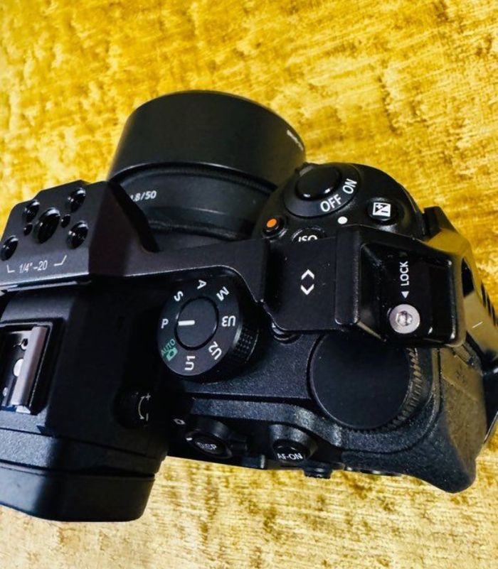 Nikon Z5 II+bague Sony - photo numéro 5