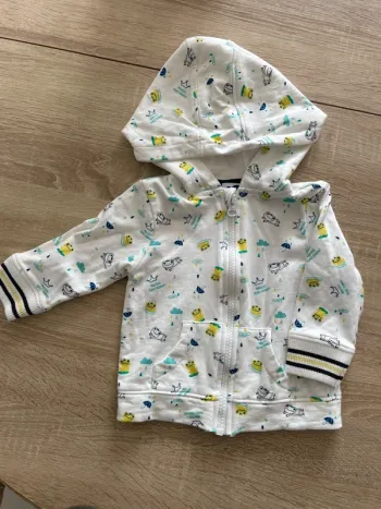 Sweat à capuche