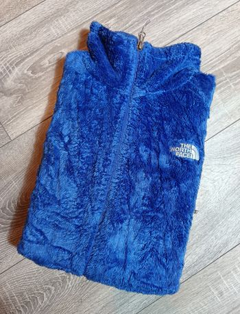 Veste polaire the north face femme taille L bleue