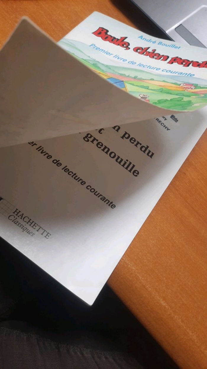 Livre de lecture courante - photo numéro 2