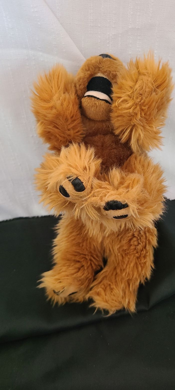 Peluche de cocker - photo numéro 6