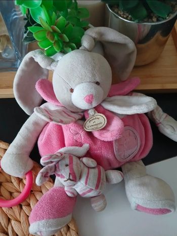 Péluche doudou et Compagnie lapin 