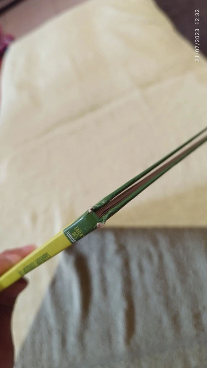 Livre les animaux sauvages - photo numéro 3