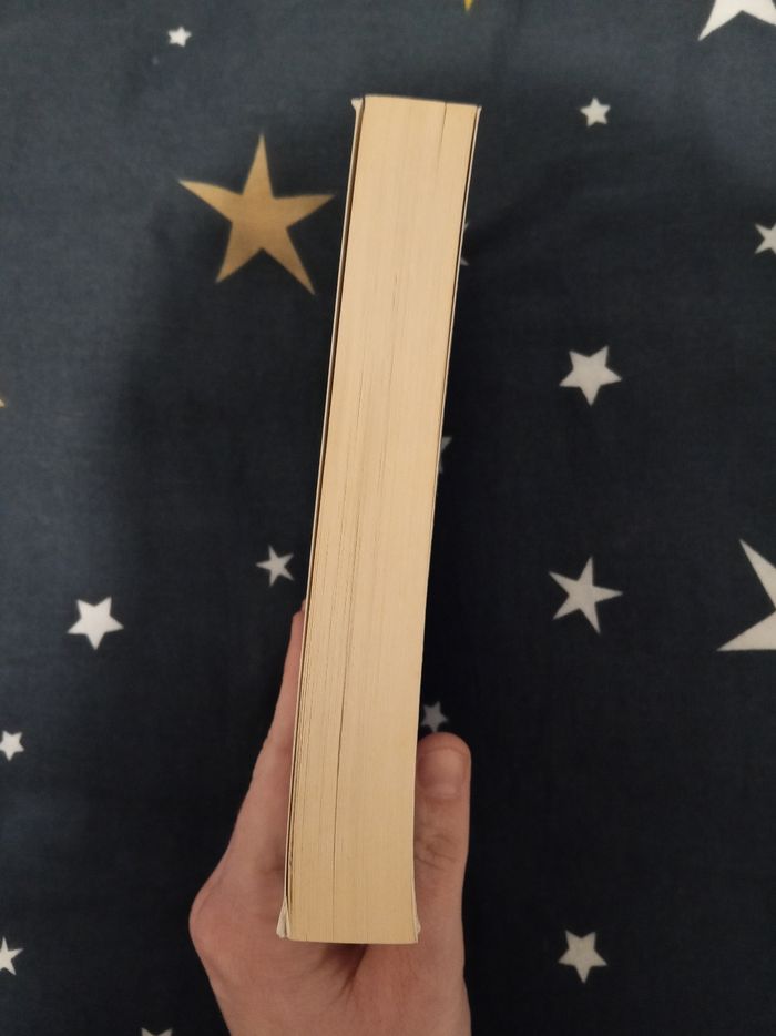 Livre (186) 📚 La guerre des vanités - photo numéro 3