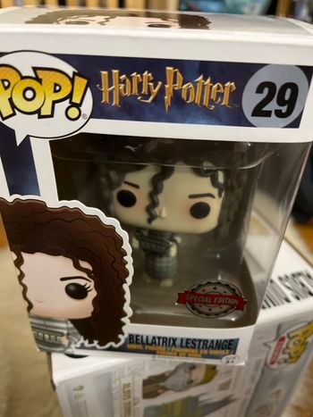 Pour Harry Potter, 29, Bellatrix Lestrange