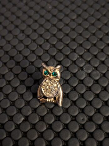 Pin's Hibou 🦉 Chouette