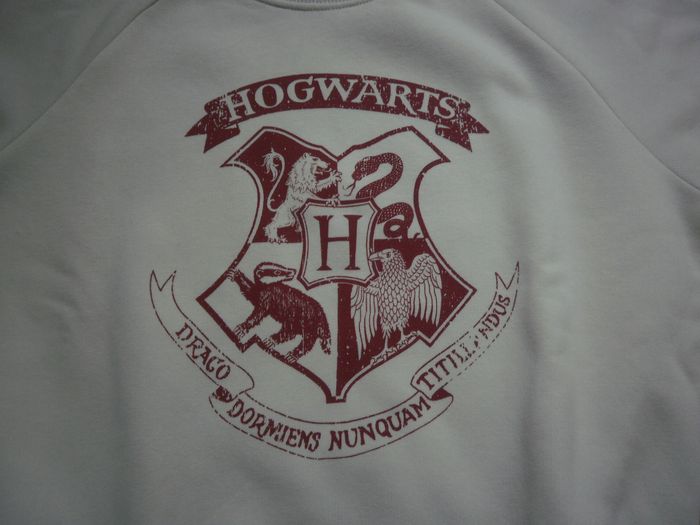 Sweat-shirt sans capuche Jeune Fille XS - Harry Potter - photo numéro 2