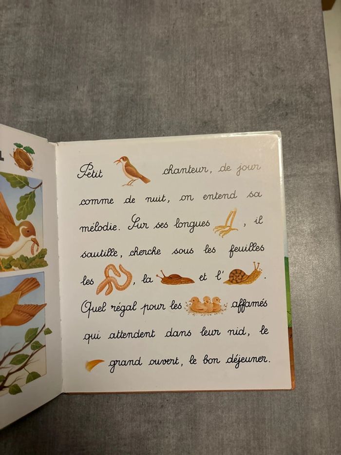 Livre je lis avec les animaux de la forêt - photo numéro 3